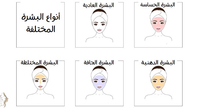 أنواع البشرة المختلفة